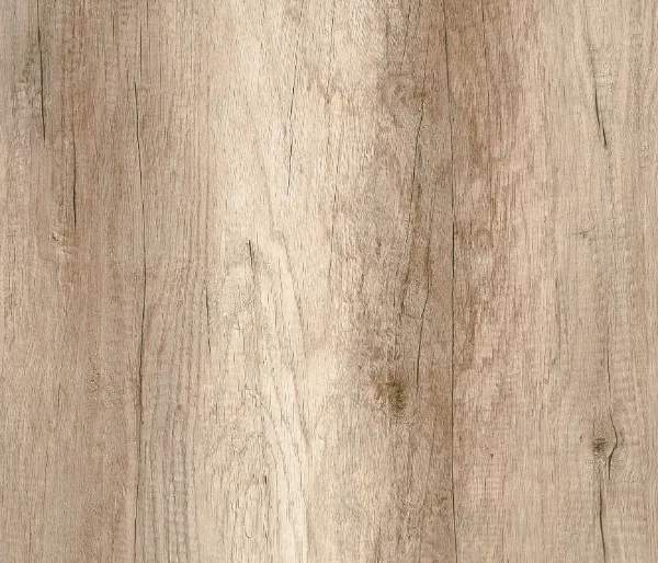 669 Rovere-Primitivo