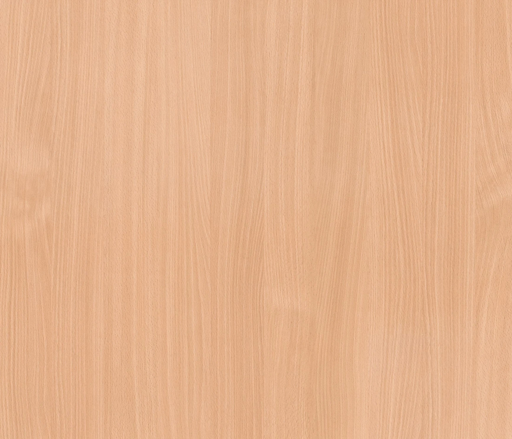 laminato 1666 1666 Faggio Americano